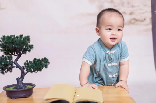 柳林可爱的企鹅宝宝